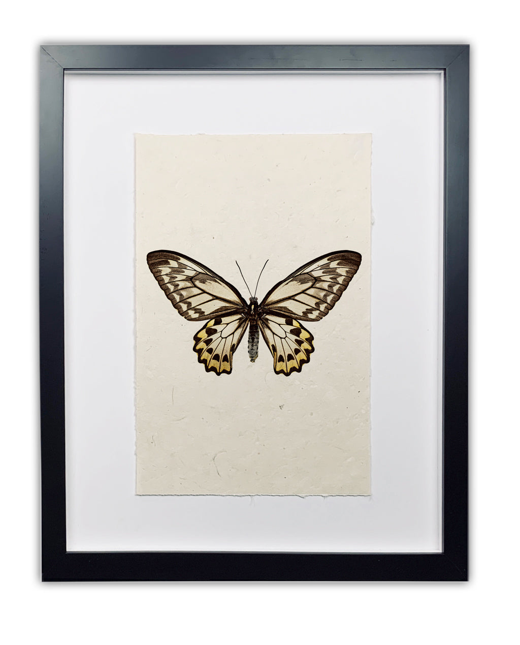 Butterfly framed handmade paper wall art print 20"x30"