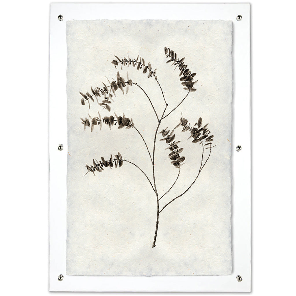 Eucalyptus #2 Handmade Paper Wall Art Print