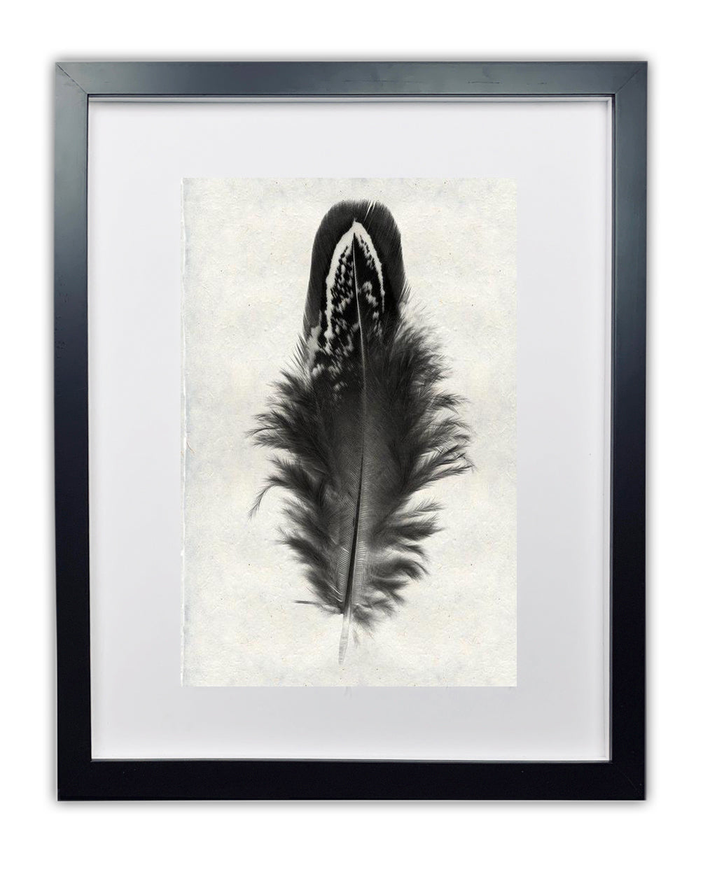 Feather study framed handmade paper wall art print 9"x14"