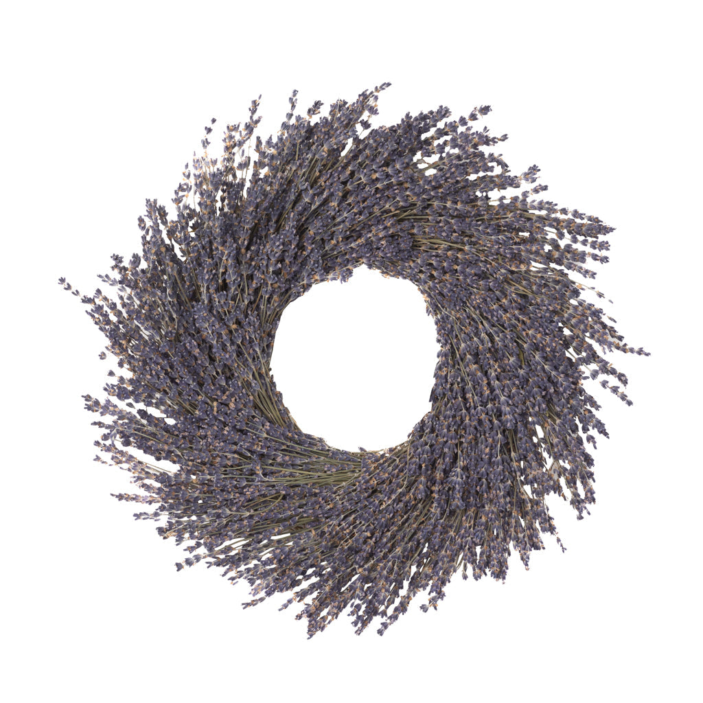 lavender decorative wreath live plant purple