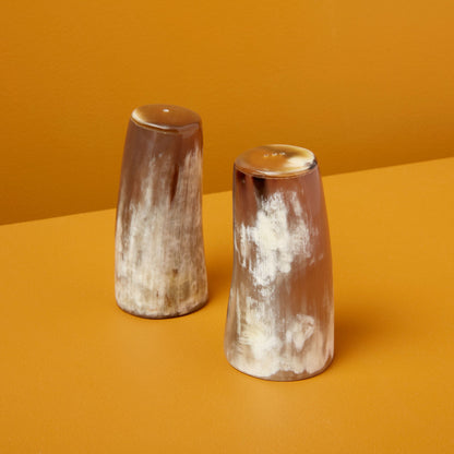 Large Horn Salt & Pepper Shaker Set
