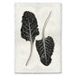 Swiss Chard Handmade Paper Wall Art Print