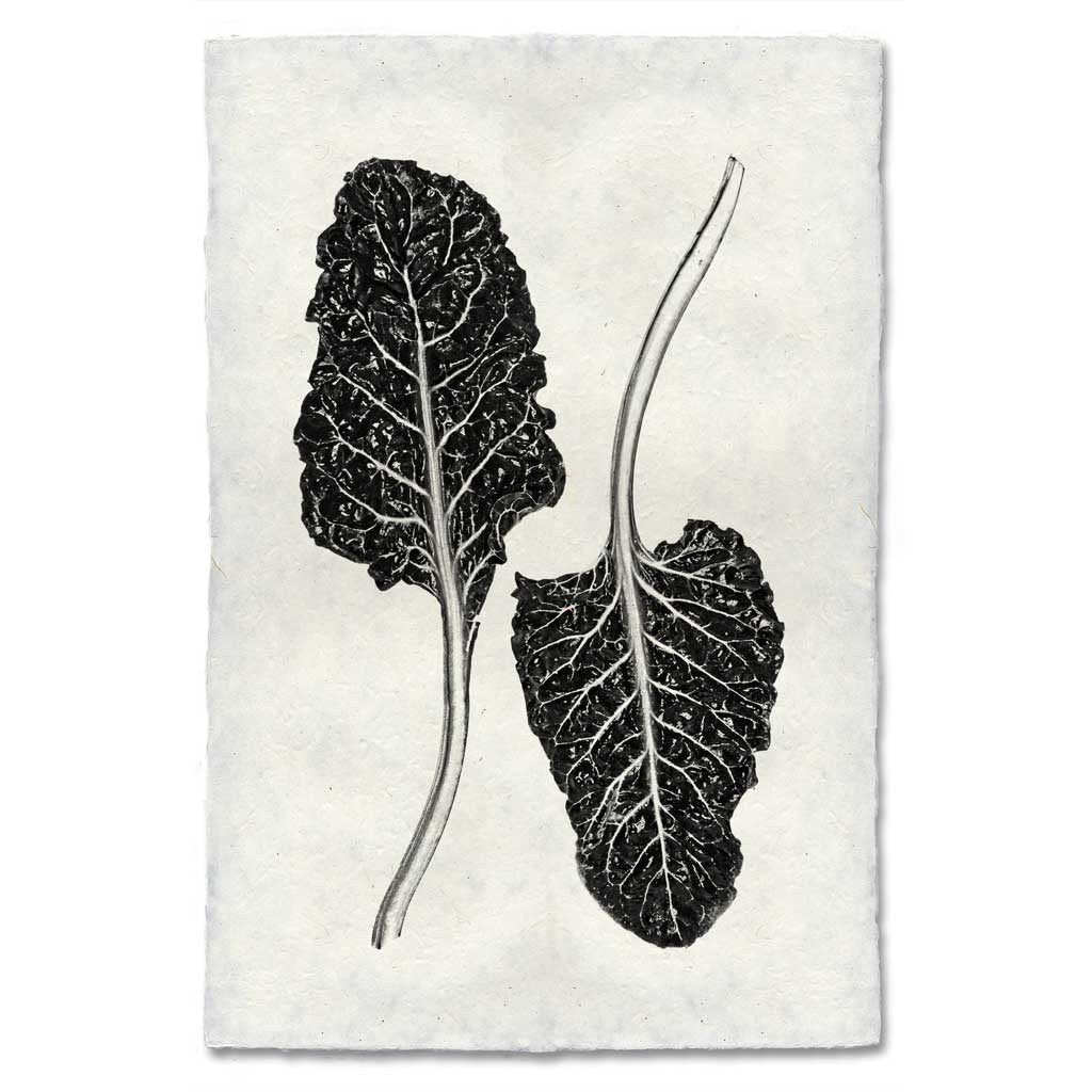 Swiss Chard Handmade Paper Wall Art Print