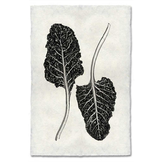 Swiss Chard Handmade Paper Wall Art Print