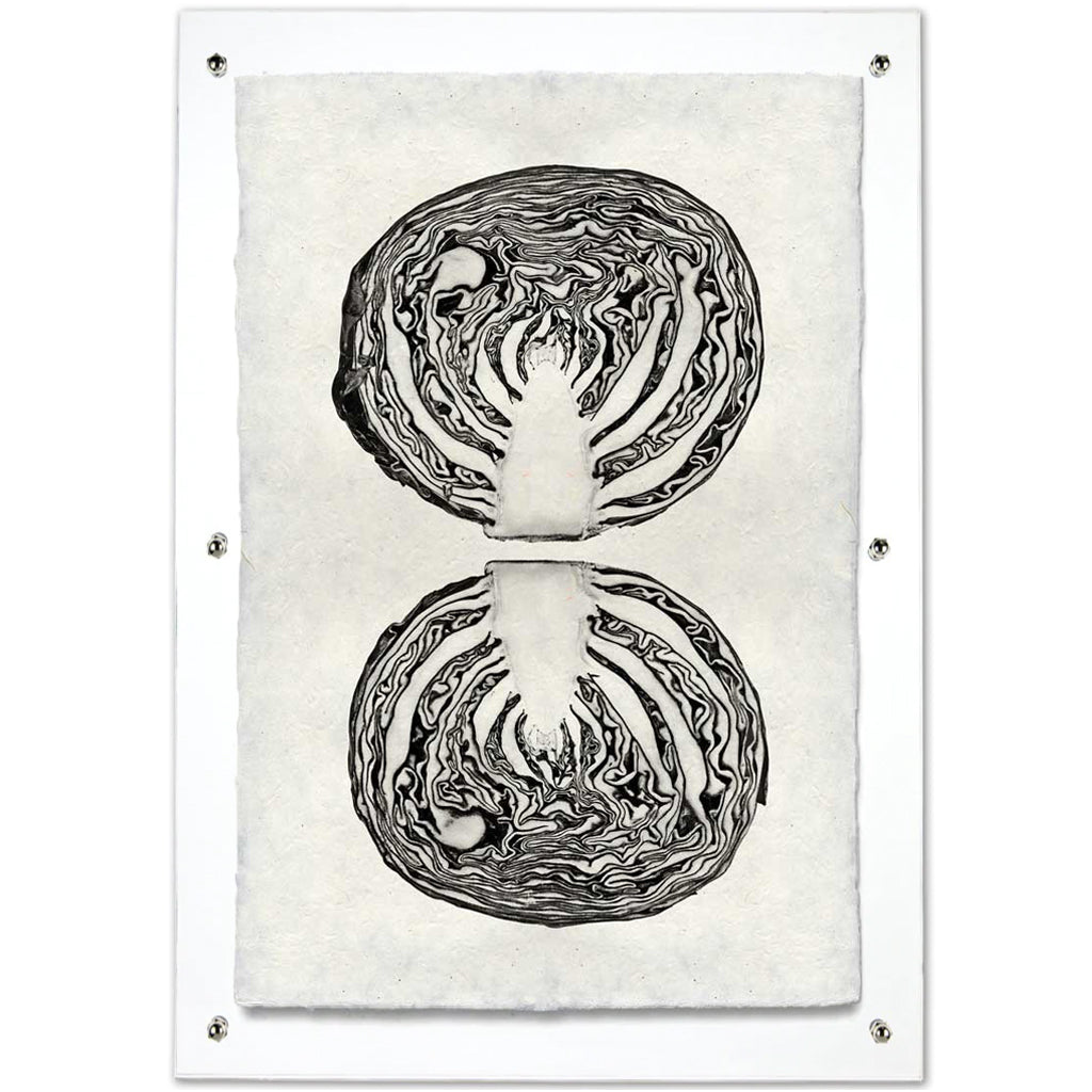 Cabbage Handmade Paper Wall Art Print