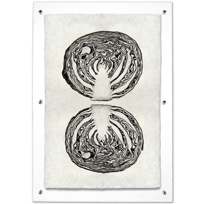 Cabbage Handmade Paper Wall Art Print
