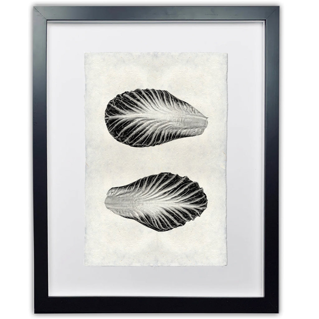 Endive Handmade Paper Wall Art Print