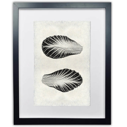 Endive Handmade Paper Wall Art Print