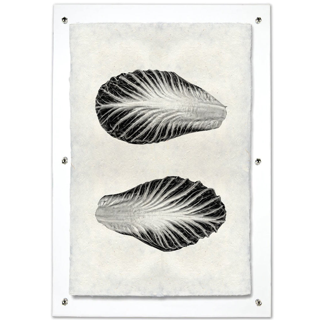 Endive Handmade Paper Wall Art Print