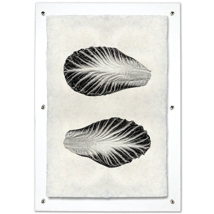 Endive Handmade Paper Wall Art Print
