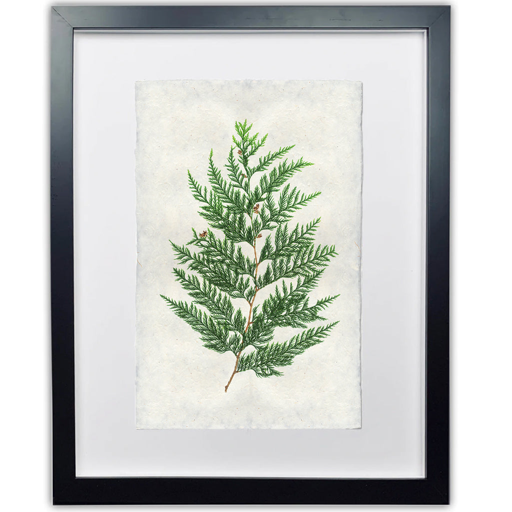 Red Cedar Handmade Paper Wall Art Print