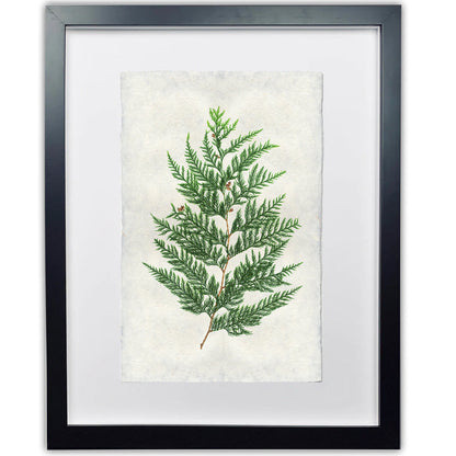 Red Cedar Handmade Paper Wall Art Print