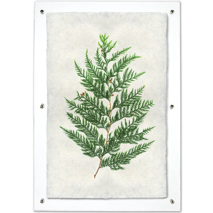 Red Cedar Handmade Paper Wall Art Print