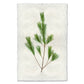 Pine Handmade Paper Wall Art Print