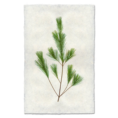 Pine Handmade Paper Wall Art Print