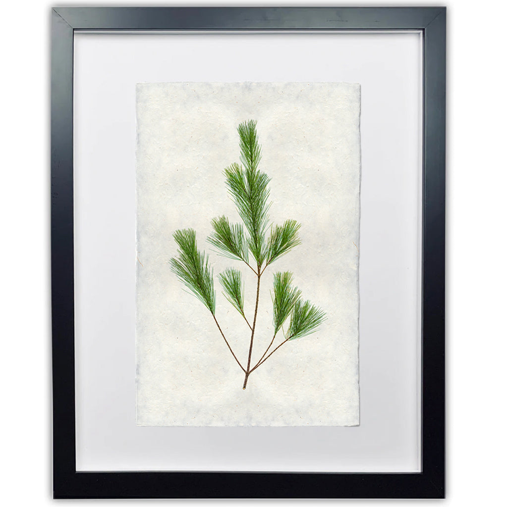 Pine Handmade Paper Wall Art Print