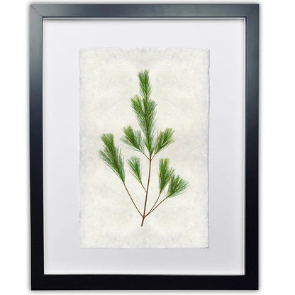Pine Handmade Paper Wall Art Print