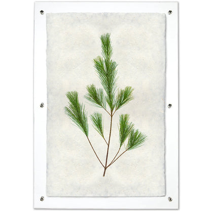 Pine Handmade Paper Wall Art Print