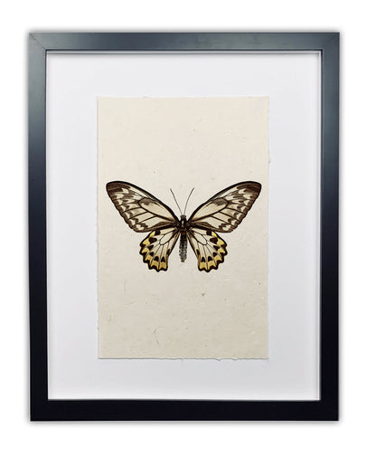 Butterfly framed handmade paper wall art print 20"x30"