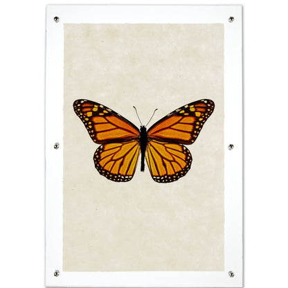 Butterfly framed handmade paper wall art print 20"30" 