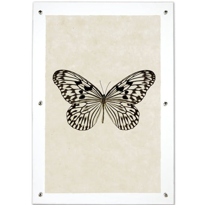 Butterfly framed handmade paper wall art print 20"x30"