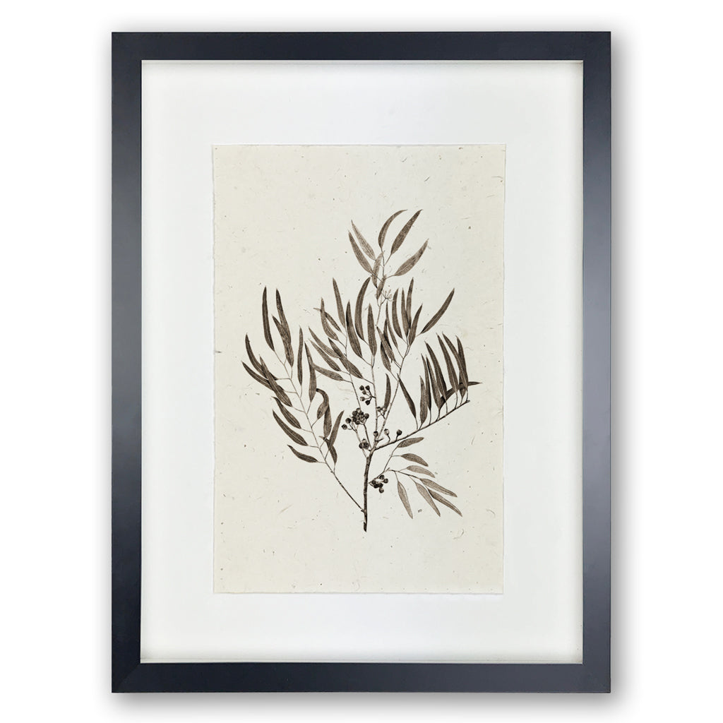 Eucalyptus #4 Handmade Paper Wall Art Print