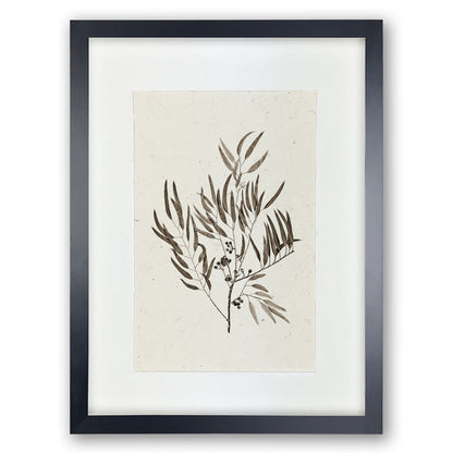 Eucalyptus #4 Handmade Paper Wall Art Print