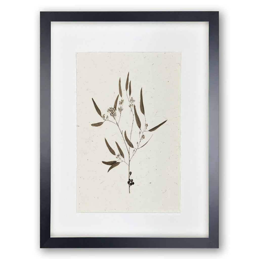 Eucalyptus #5 Handmade Paper Wall Art Print