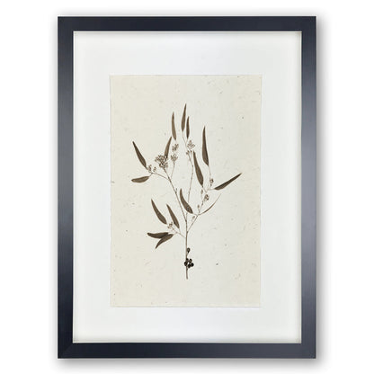 Eucalyptus #5 Handmade Paper Wall Art Print
