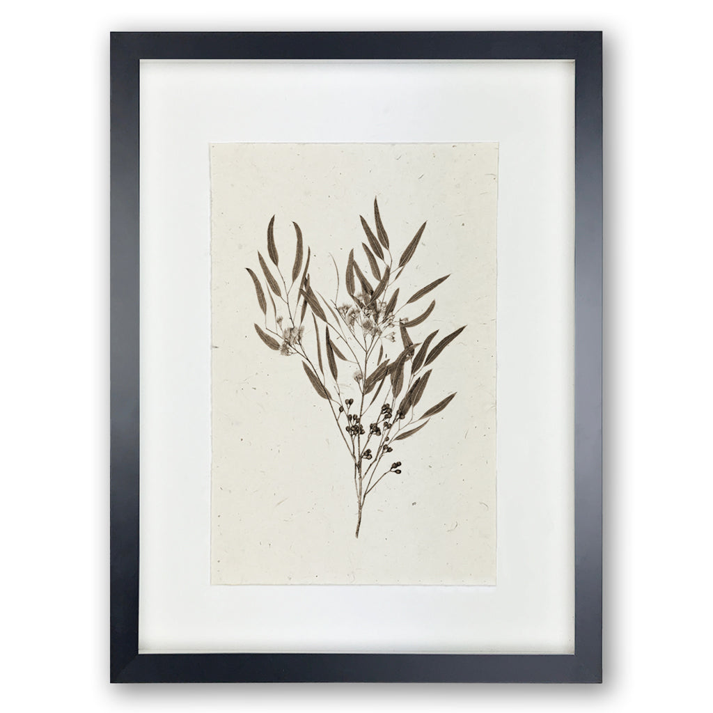 Eucalyptus #6 Handmade Paper Wall Art Print