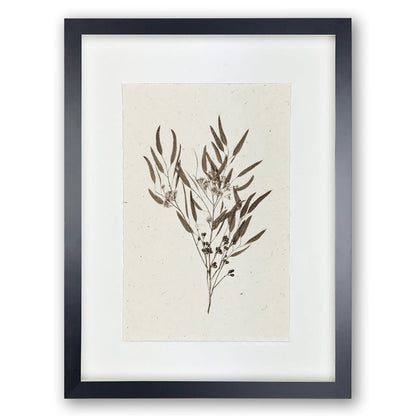 Eucalyptus #6 Handmade Paper Wall Art Print