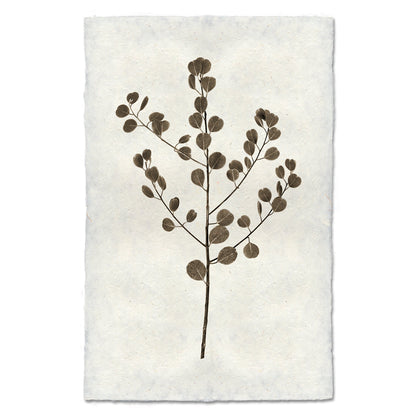 Eucalyptus #1 Handmade Paper Wall Art Print