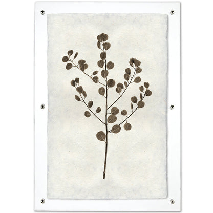 Eucalyptus #1 Handmade Paper Wall Art Print