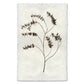 Eucalyptus #2 Handmade Paper Wall Art Print