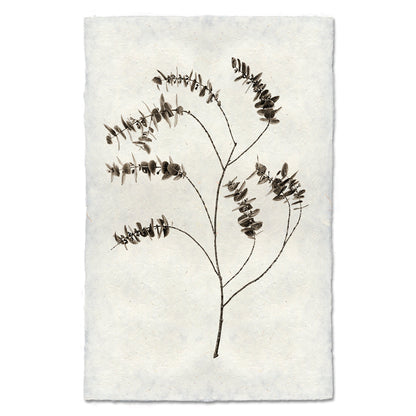 Eucalyptus #2 Handmade Paper Wall Art Print