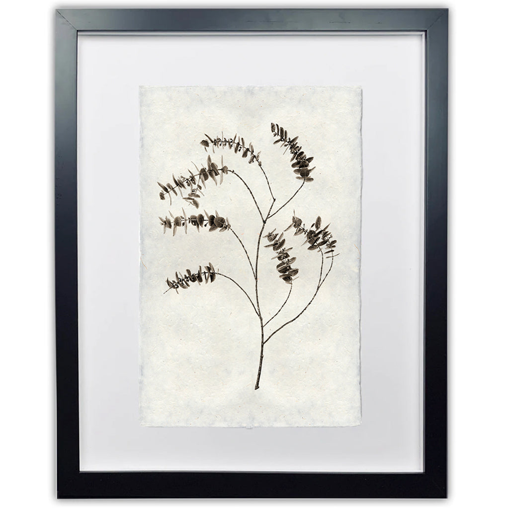 Eucalyptus #2 Handmade Paper Wall Art Print