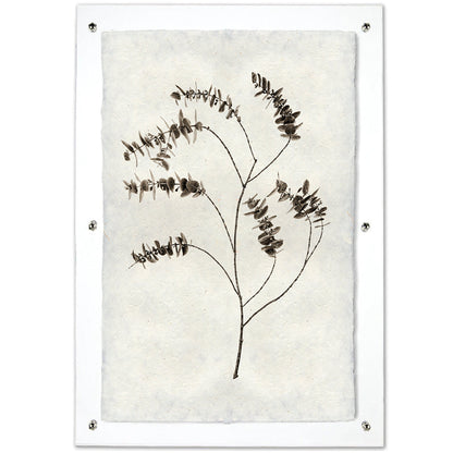 Eucalyptus #2 Handmade Paper Wall Art Print