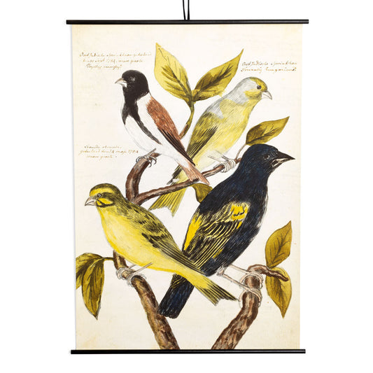 Rustic Dutch Painting of Four Birds, 44x63"