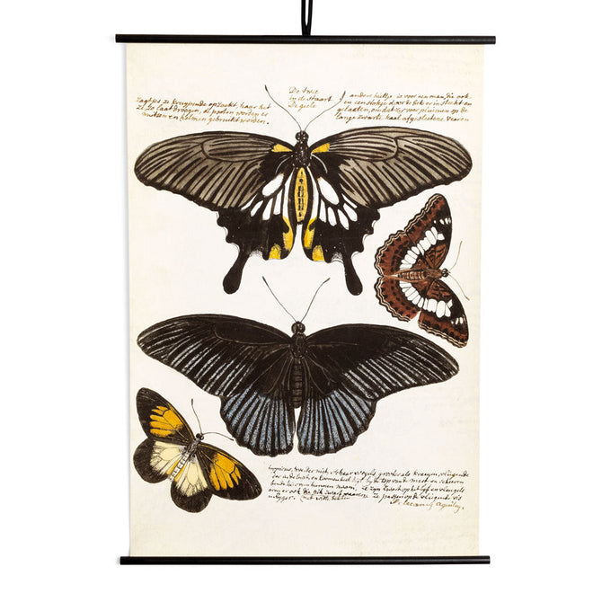 Rustic Dutch Painting of Four Butterflies, 36x52"