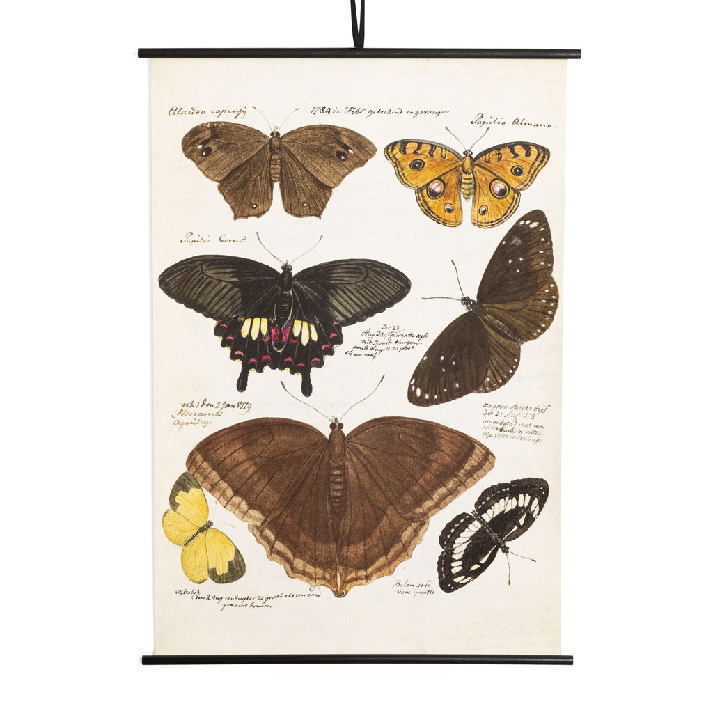 Rustic Dutch Painting of Seven Butterflies, 36x52"