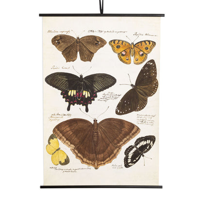 Rustic Dutch Painting of Seven Butterflies, 36x52"