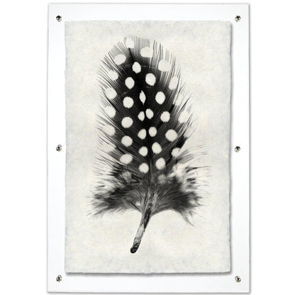 Feather study framed handmade paper wall art print 20"x30"