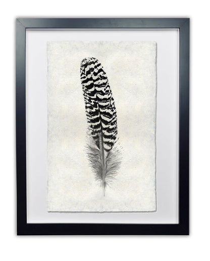 Feather study framed handmade paper wall art print 9"x14"