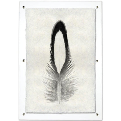 Feather study framed handmade paper wall art print 20"x30"