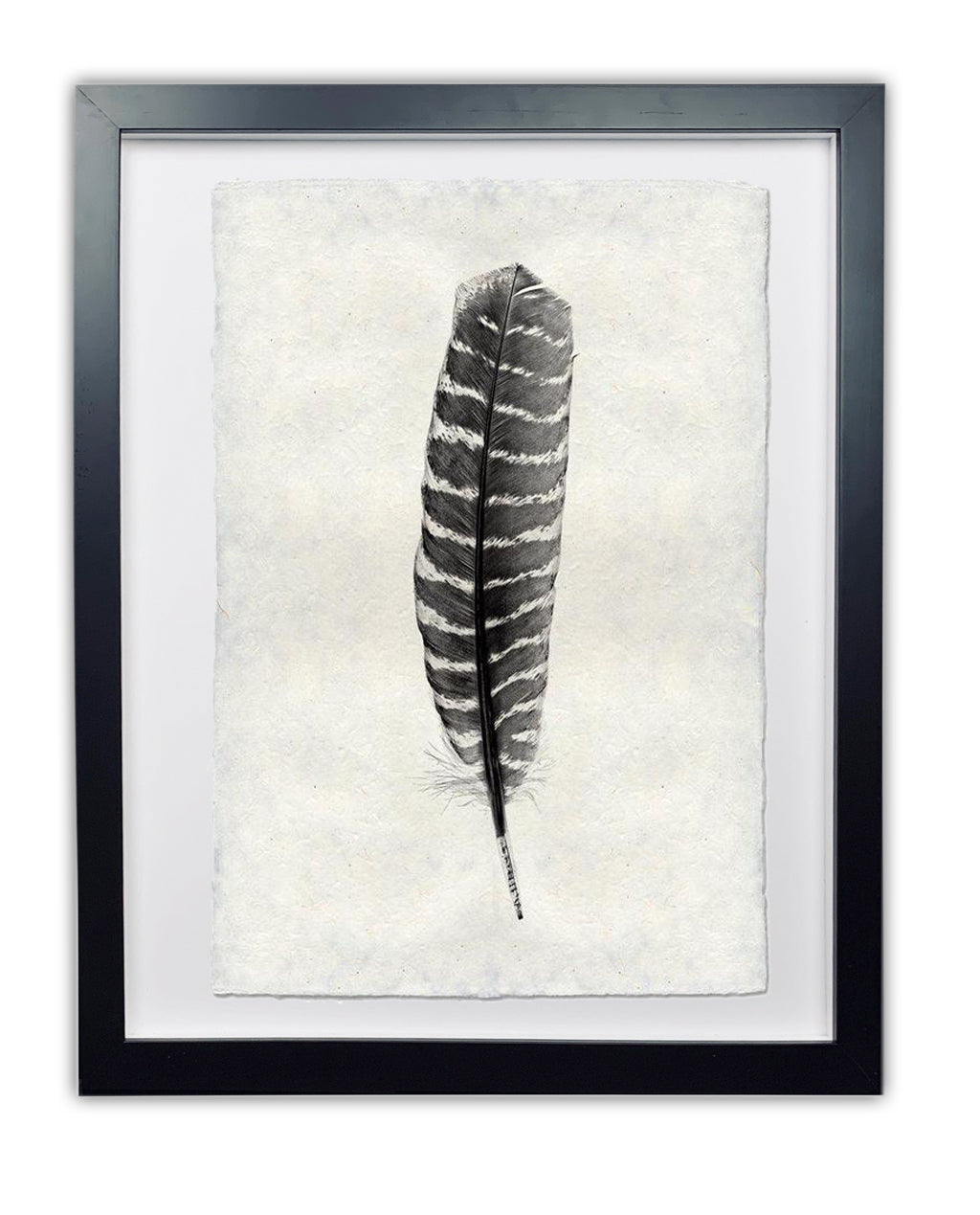 Feather study framed handmade paper wall art print 9"x14"