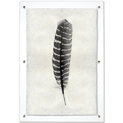 Feather study framed handmade paper wall art print 20"x30"