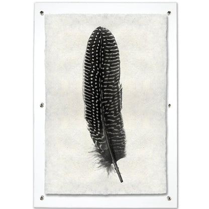 Feather study framed handmade paper wall art print 20"x30"