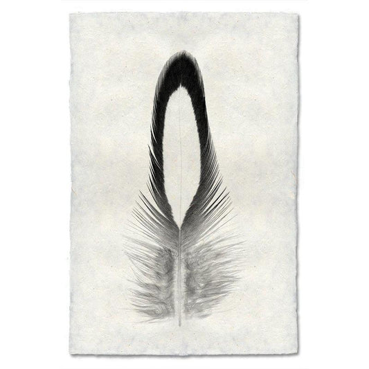 Feather study handmade paper wall art print 40"x60"