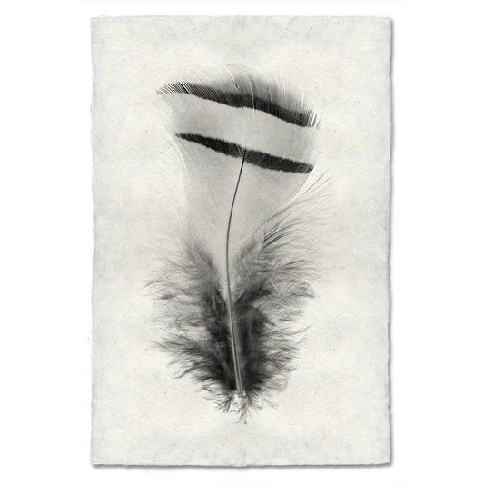 Feather study handmade paper wall art print 40"x60"