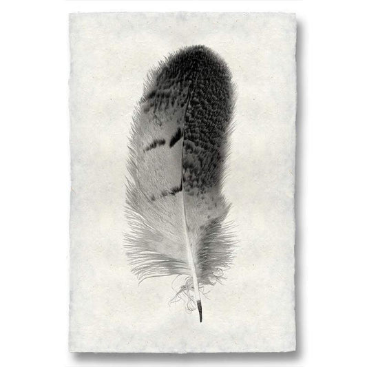 Feather study handmade paper wall art print 40"x60"